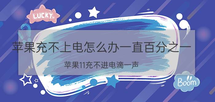 苹果充不上电怎么办一直百分之一 苹果11充不进电滴一声？